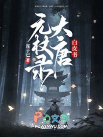 白皮书：大唐无杖录